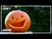 Verify: How to discard your pumpkins without hurting wildlife