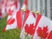 More than 100 volunteers lay flags at soldiers’ graves in Kingston