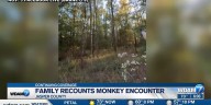 Couple talks about encounter with second of three escaped monkeys