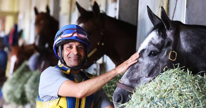 Top trainer facing potential ban over welfare record after deaths of four horses in his care