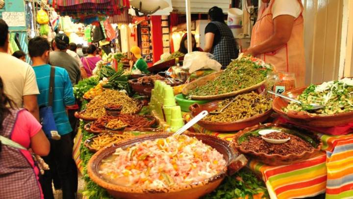 Paga Circe la comida a empresas polémicas: Destinó 4.1 mdp a través de dos contratos