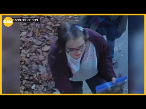 'Slender Man' stabbing assailant Morgan Geyser flees group home: Police