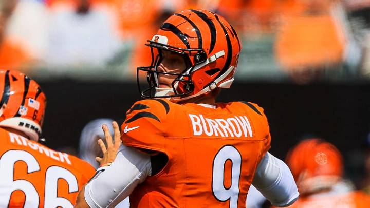 Joe Burrow and Aaron Rodgers among Week 12 NFL injuries bettors need to know