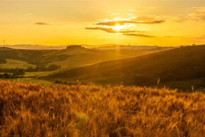 $1 B Bid Strengthens Rural Hospitals in Washington State