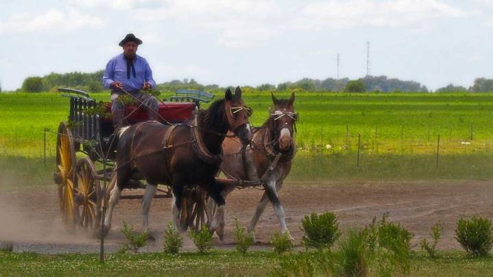 Día de la Tradición 2025: significado y origen del 10 de noviembre