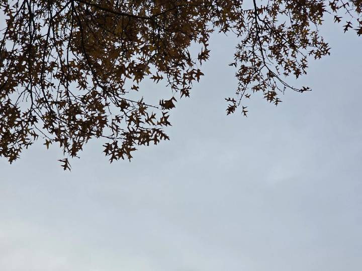 NJ weather: Still breezy, still cool, rain coming up this weekend