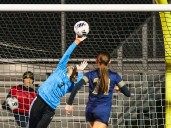 Photo Gallery: Woodmore vs. Doylestown Chippewa girls soccer state semifinal