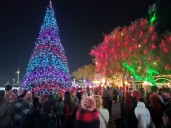 Surprise Party holiday event looking for vendors