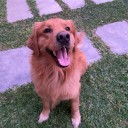 Los peludos que mandan en casa (y en el corazón) de nuestros lectores