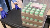 Mother’s Milk Bank of Florida helping state’s most fragile newborns