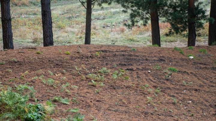 Alertan de los daños causados por aficionados al motocrós sobre un yacimiento arqueológico de la Edad de Bronce en Lugo