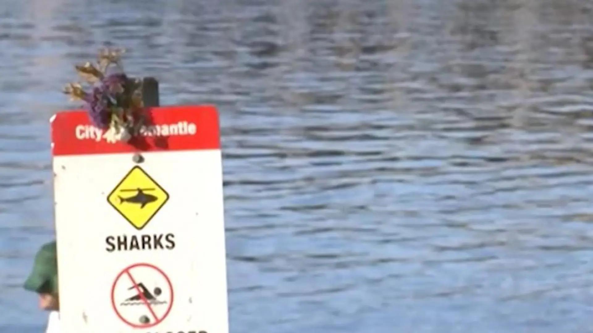 Australia investiga el ataque de un tiburón que dejó una mujer muerta y un hombre gravemente herido