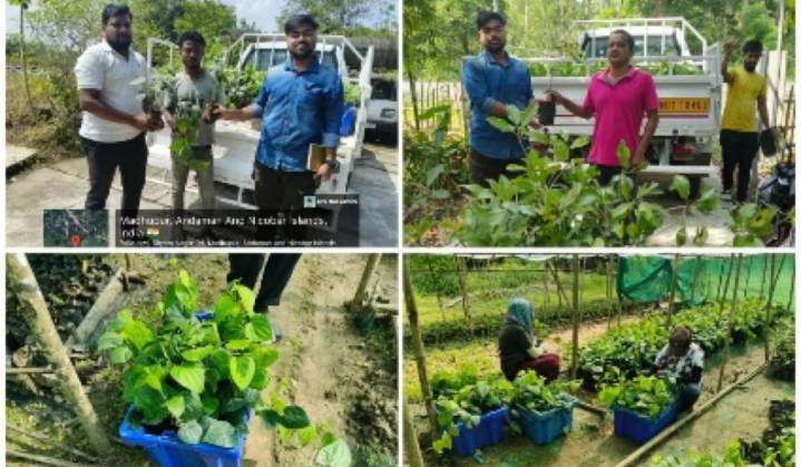 Agriculture Department Distributes Quality Fruit and Spice Saplings to Promote Sustainable Farming & Self