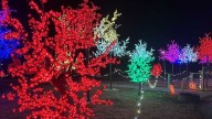 Falconwood Park in Bellevue transforms into immersive holiday experience