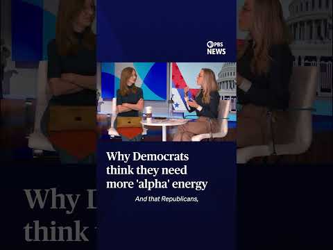 WATCH: Why Democrats think they need more 'alpha' energy
