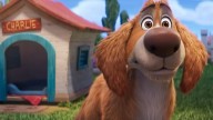 'Charlie the Wonderdog' With Owen Wilson Debuts Trailer