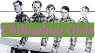 Beach Boys Record New Hit: "I Wish They All Could Be Chihuahua Girls"