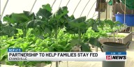 New partnership to help families stay fed during paused SNAP benefits