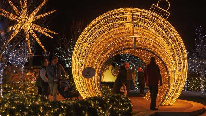 Iconic lights and cookie structures await at Christmas at Mustard Seed Hill