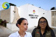 “Rueda cabeza” de titular de Bienestar Animal en Cancún tras la denuncia de sacrificio masivo de perros y gatos