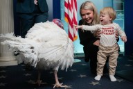 Turkey pardons offer holiday ritual during precarious moment for Trump
