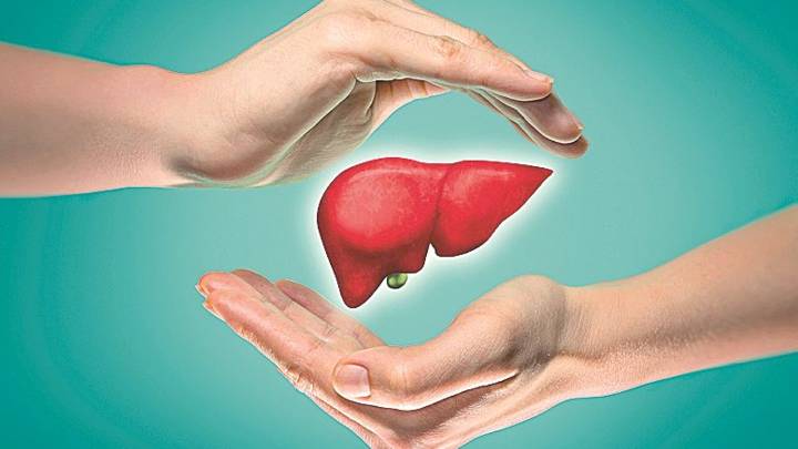 El compuesto natural que frena el avance de la enfermedad de hígado graso