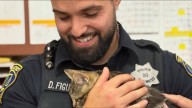 Officer rescues kitten from inside Tesla in San Mateo