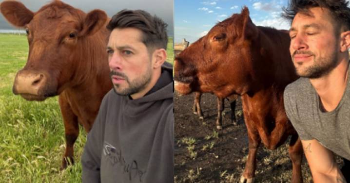 Es furor en redes por proteger a sus vacas de la tormenta dentro de su casa: ¿quién es “La Joya Agro”?