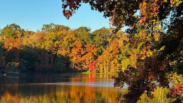 Get outdoors and walk off calories at these 5 places in, near Jackson