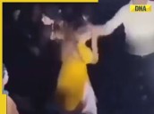 Haryana: Woman dancer gets beaten in Nuh after confronting groom's relative over