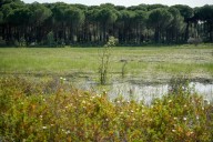 El Acuerdo por Doñana cumple dos años con la línea de apoyo al sector agrícola en marcha