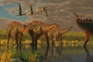 How did birds survive while dinosaurs went extinct?