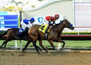 Revera wins Desi Arnaz stakes; Breeders’ Cup viewership climbs