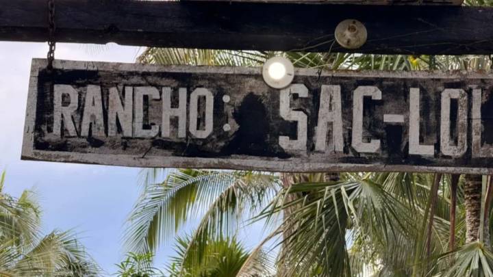 Buscadoras de Quintana Roo piden a la FGE ampliar las búsquedas