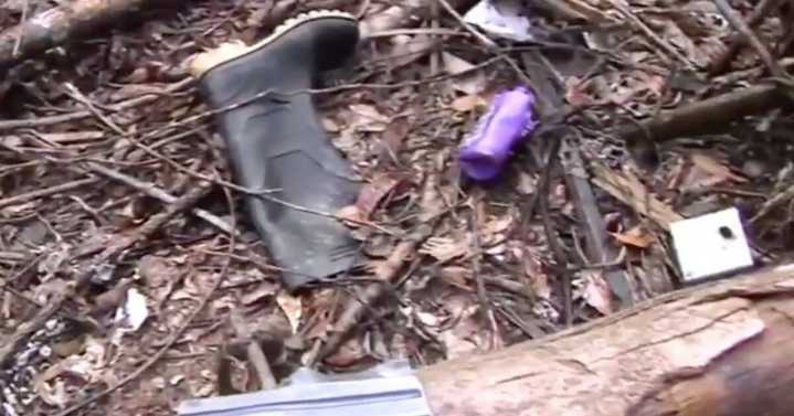 Operativo en el Guaviare: bombardeo autorizado por el presidente Petro deja 19 fallecidos y un detenido