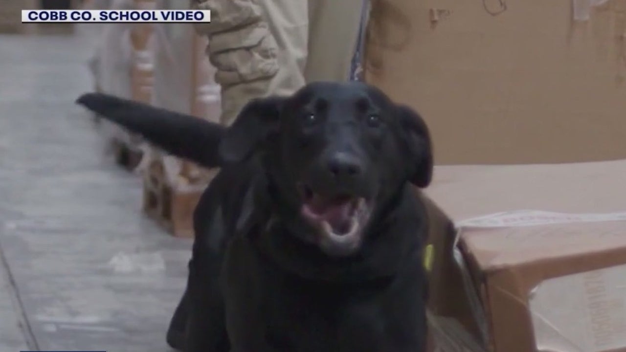 More K9s that can sniff out weapons are coming to Cobb County Schools