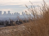 Foul play not suspected after human remains found at Nose Hill Park