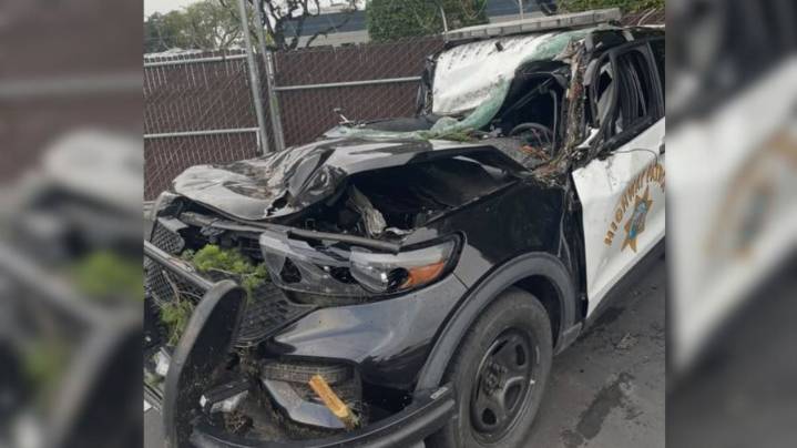 Tree falls and injures CHP officer while responding to weather
