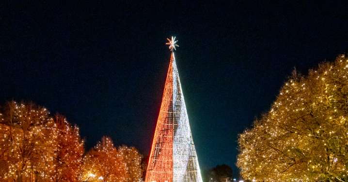 7 best things to do in Colorado this weekend: Nov. 21