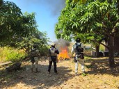 Destruyen cuatro campamentos del crimen