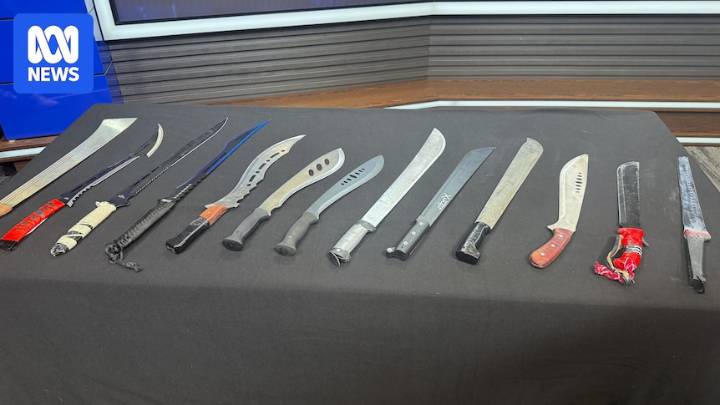Police seize record number of bladed weapons amid knife crime concerns