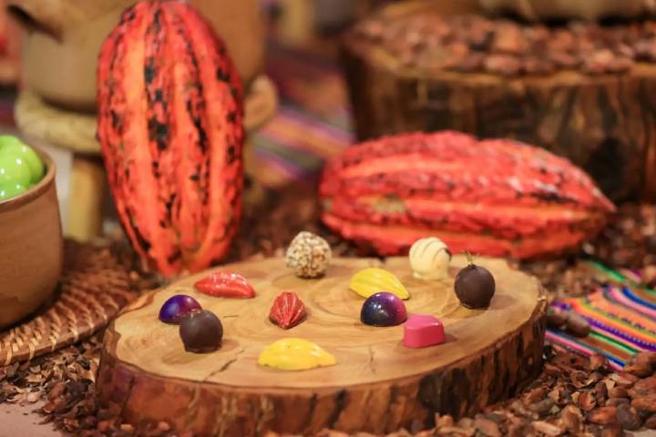 Perú y Suiza impulsarán producción sostenible de cacao