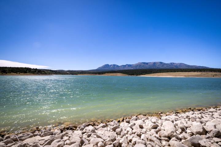 'Don't Ditch Fish': DWR urges public to not dump fish in new waterbodies