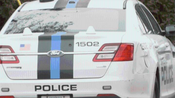 EPD confiscates over 100 grams of narcotics in drug bust