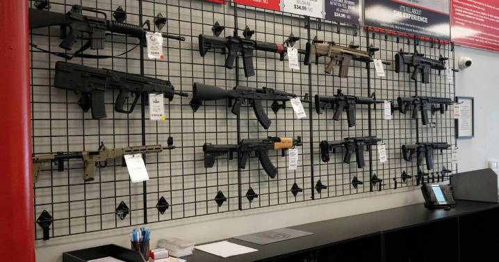 House committee (again) advances proposal to lower the age to purchase a firearm in Florida