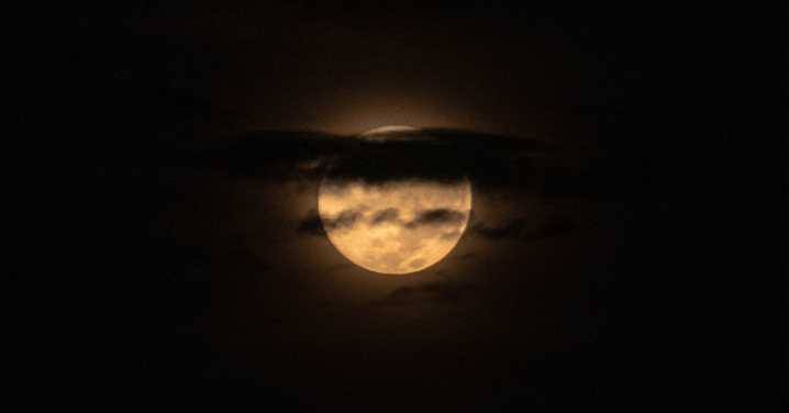 5 Tips for Protecting Your Relationship During the Full Beaver Moon