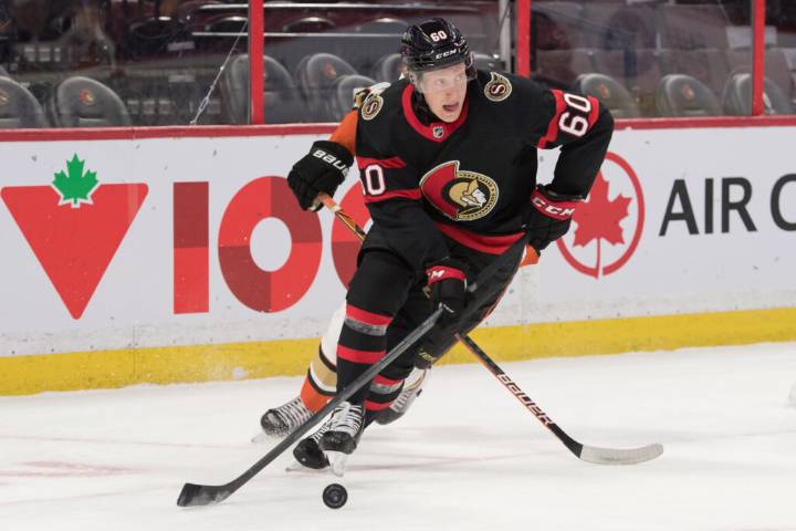 Senators Recall Stephen Halliday, Lassi Thomson