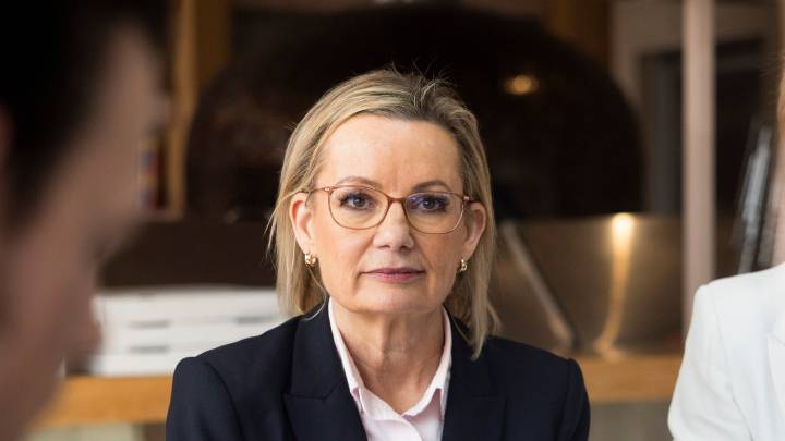 Opposition Leader Sussan Ley forced to confront Australians calling for her axing as Liberal leadership tensions mount