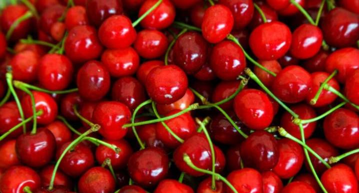 Camposol y su apuesta por cerezas en Chile: peruana inicia temporada de cosecha