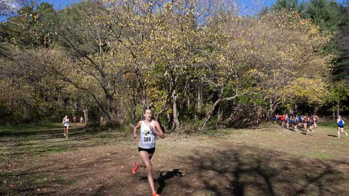 Delaware high school cross-country team and individual state champions
